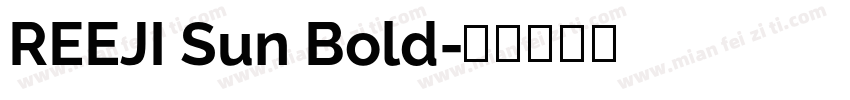 REEJI Sun Bold字体转换